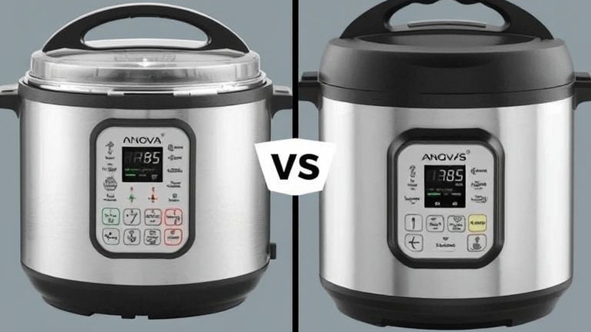Anova Precision Cooker Pro vs ChefSteps Joule