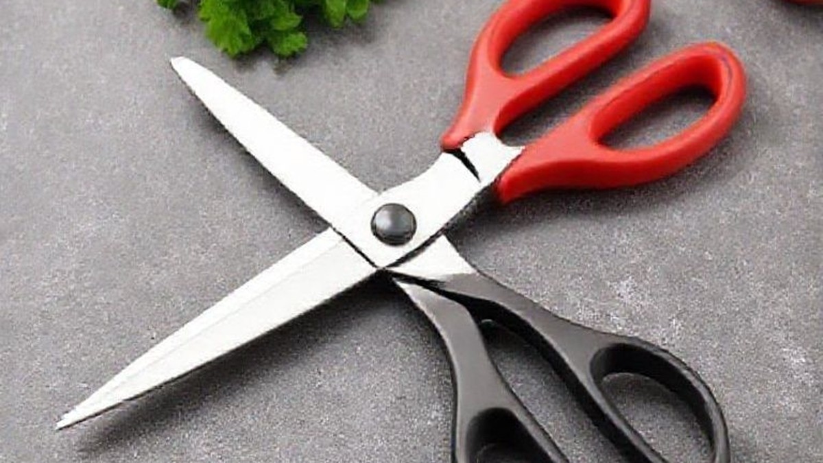 best kitchen shears that come apart for easy cleaning