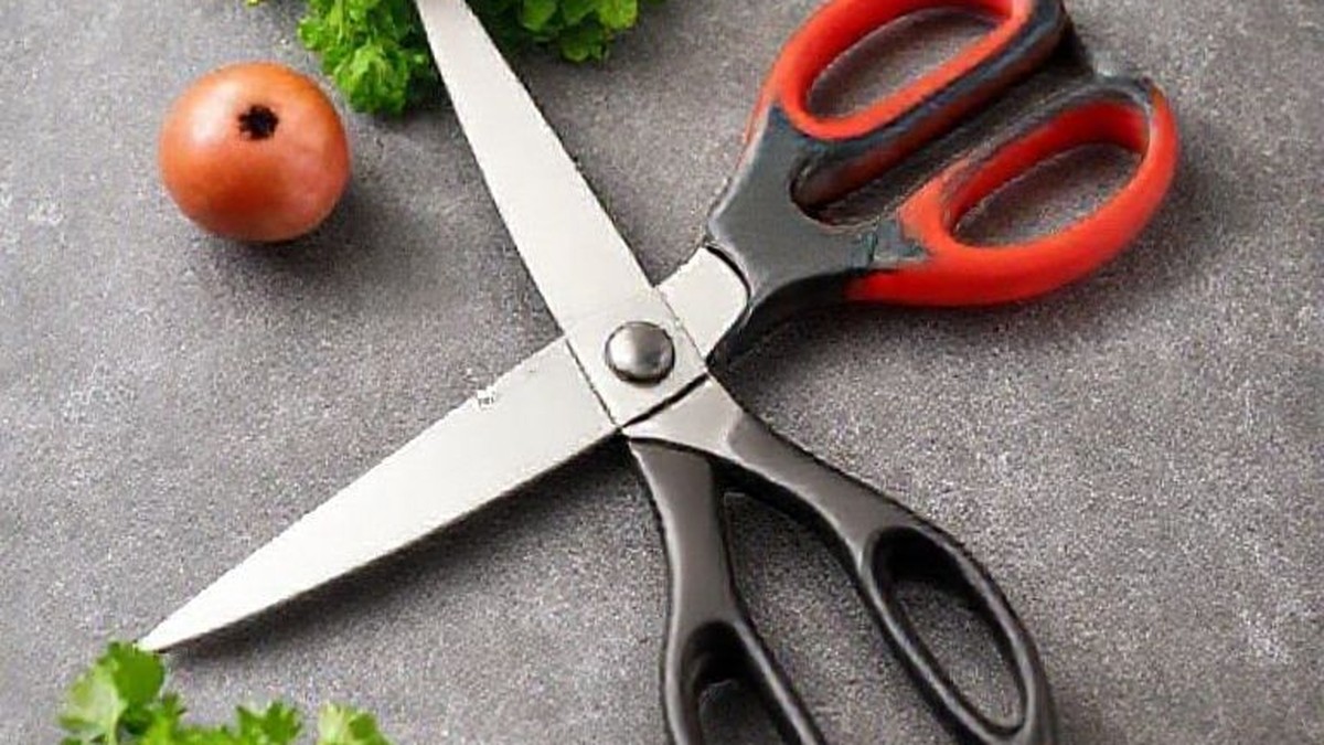 best kitchen shears