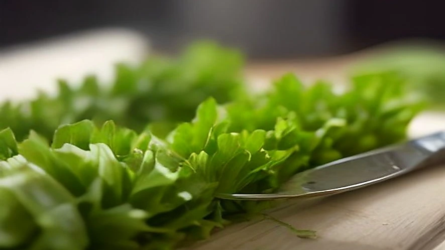 Using herb scissors to cut parsley directly on salad and mezzaluna chopping rosemary on board