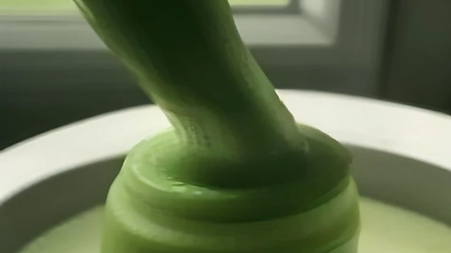 Illustration of juicer pressing vegetables and blender blending fruit smoothie