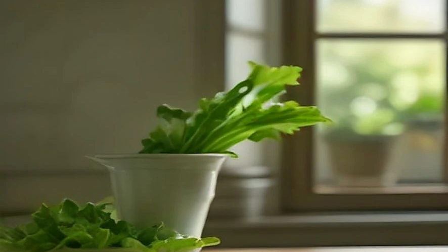 Top 10 salad spinners for washed greens with reliable drying and prep