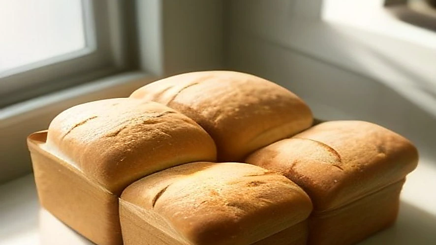 Bread boxes in a kitchen setting showing different sizes and bread types stored