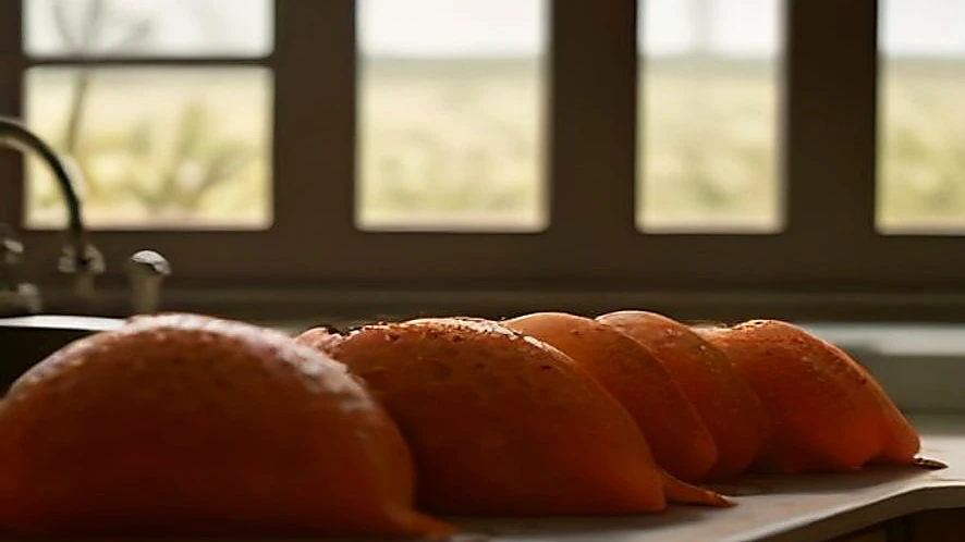 Top 7 food dehydrators for fruit leather: precise drying for homemade snacks