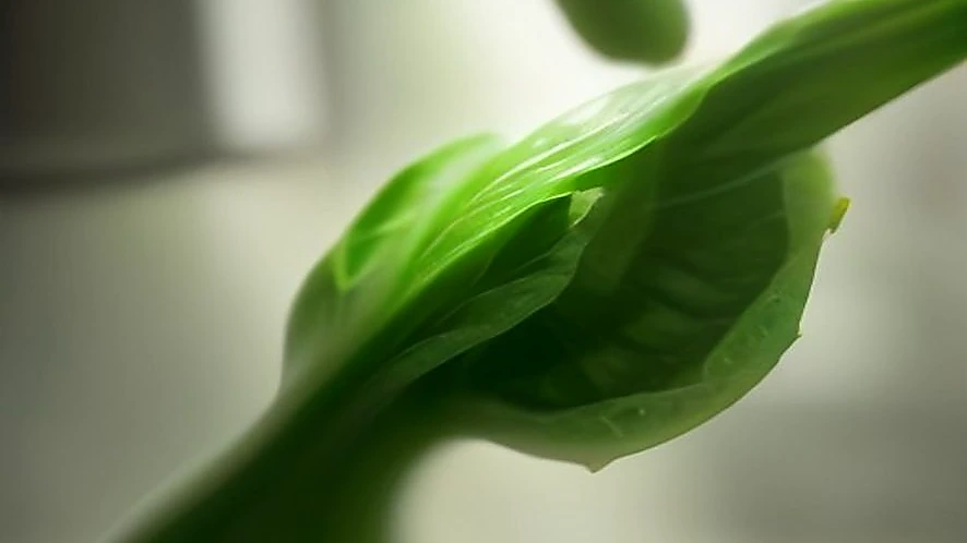 Slow masticating juicer auger extracting juice from leafy greens