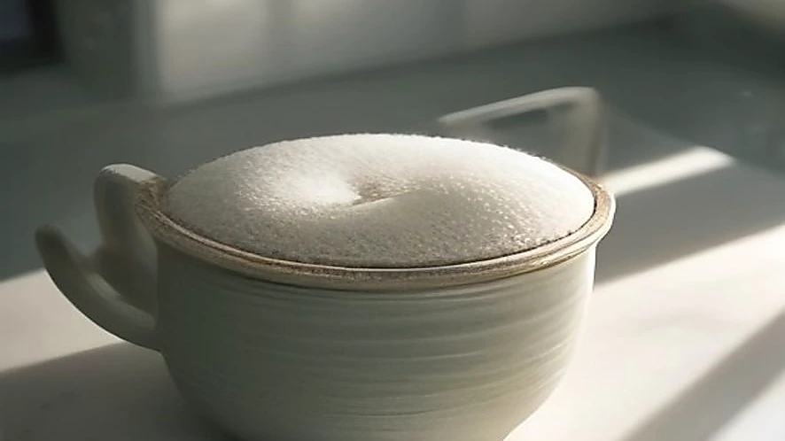 Comparison of woven cotton trivet and thick fabric pot holder on kitchen surface